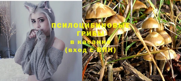 гашиш Аркадак