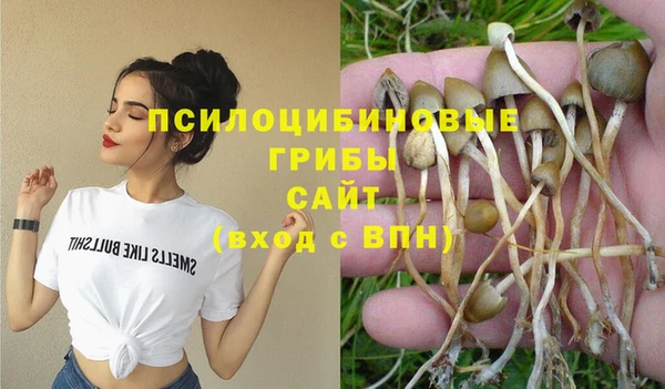 ешки Армянск