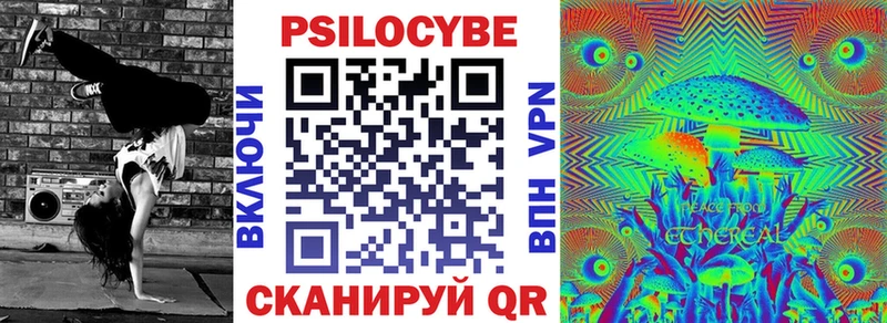 Галлюциногенные грибы Psilocybe  Тутаев 